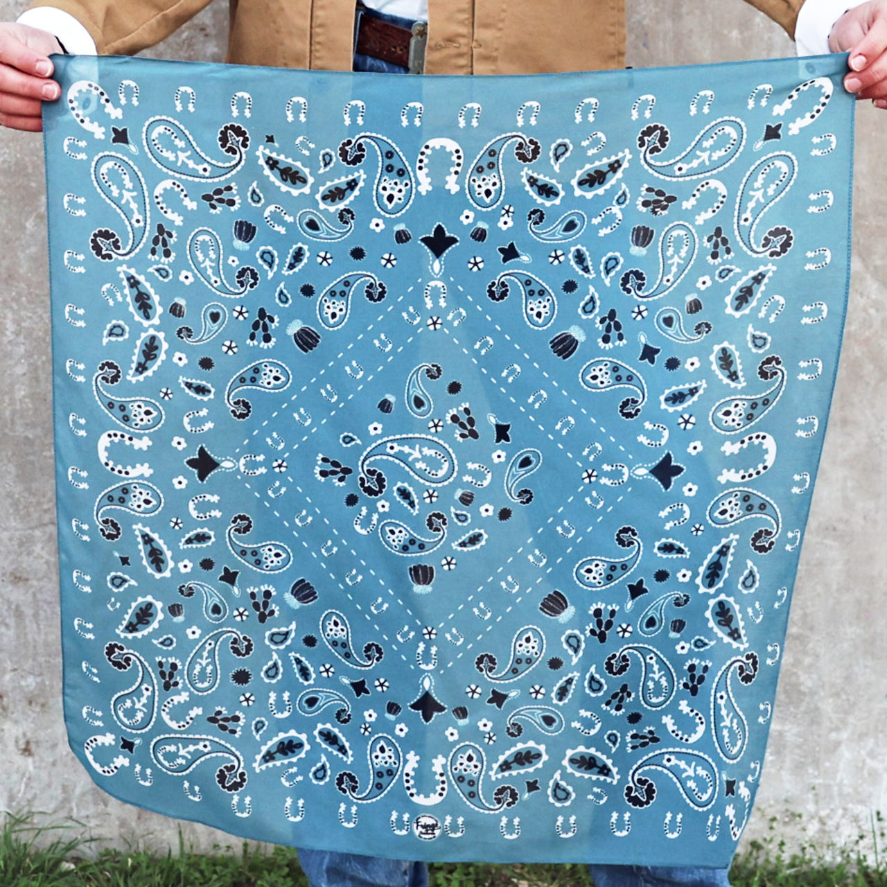 Luck Be A Paisley - Bandana