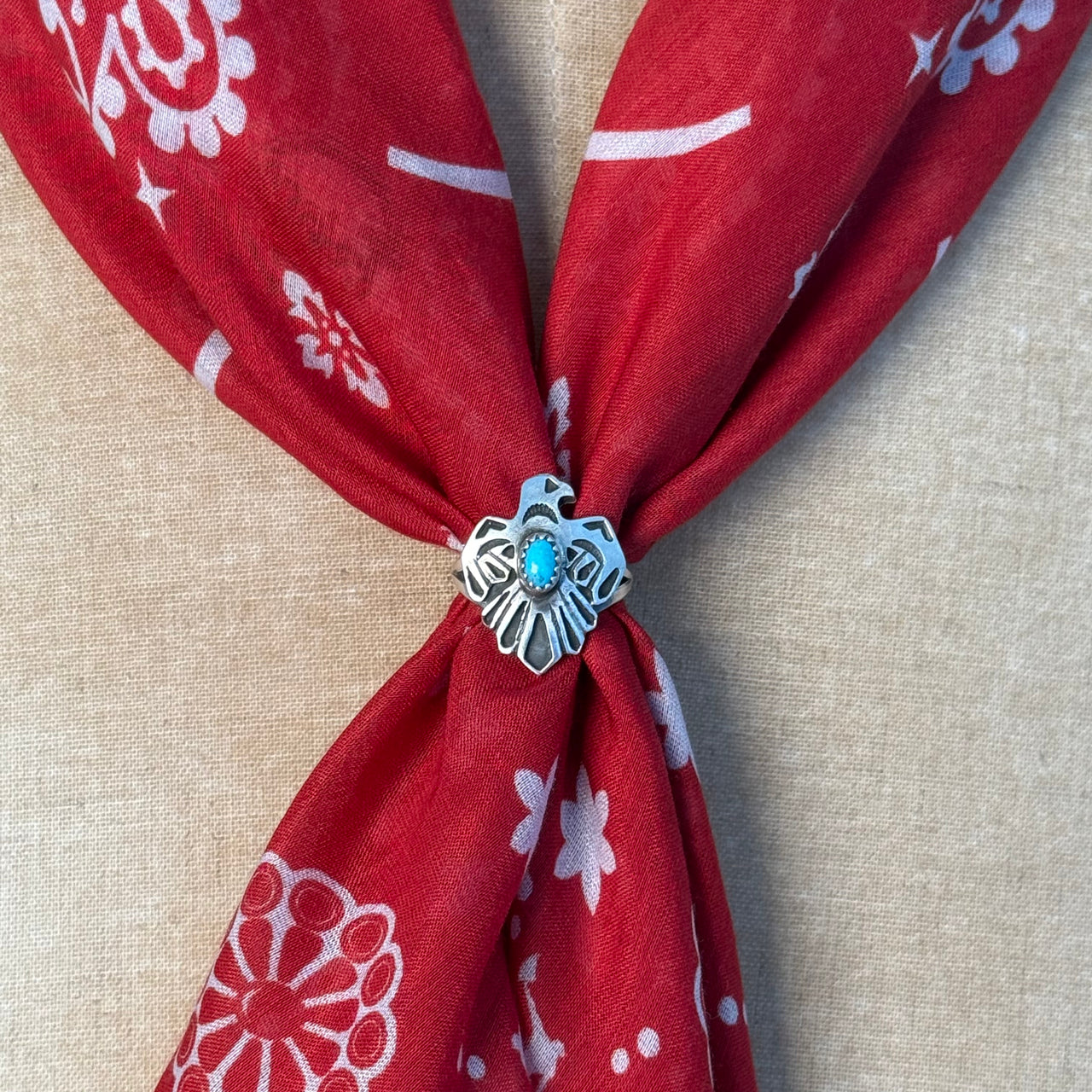 Slide - Heart of the Thunderbird