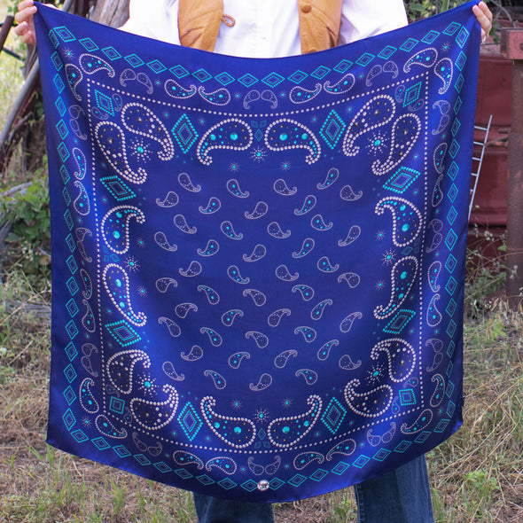Pretty Paisley- Sale