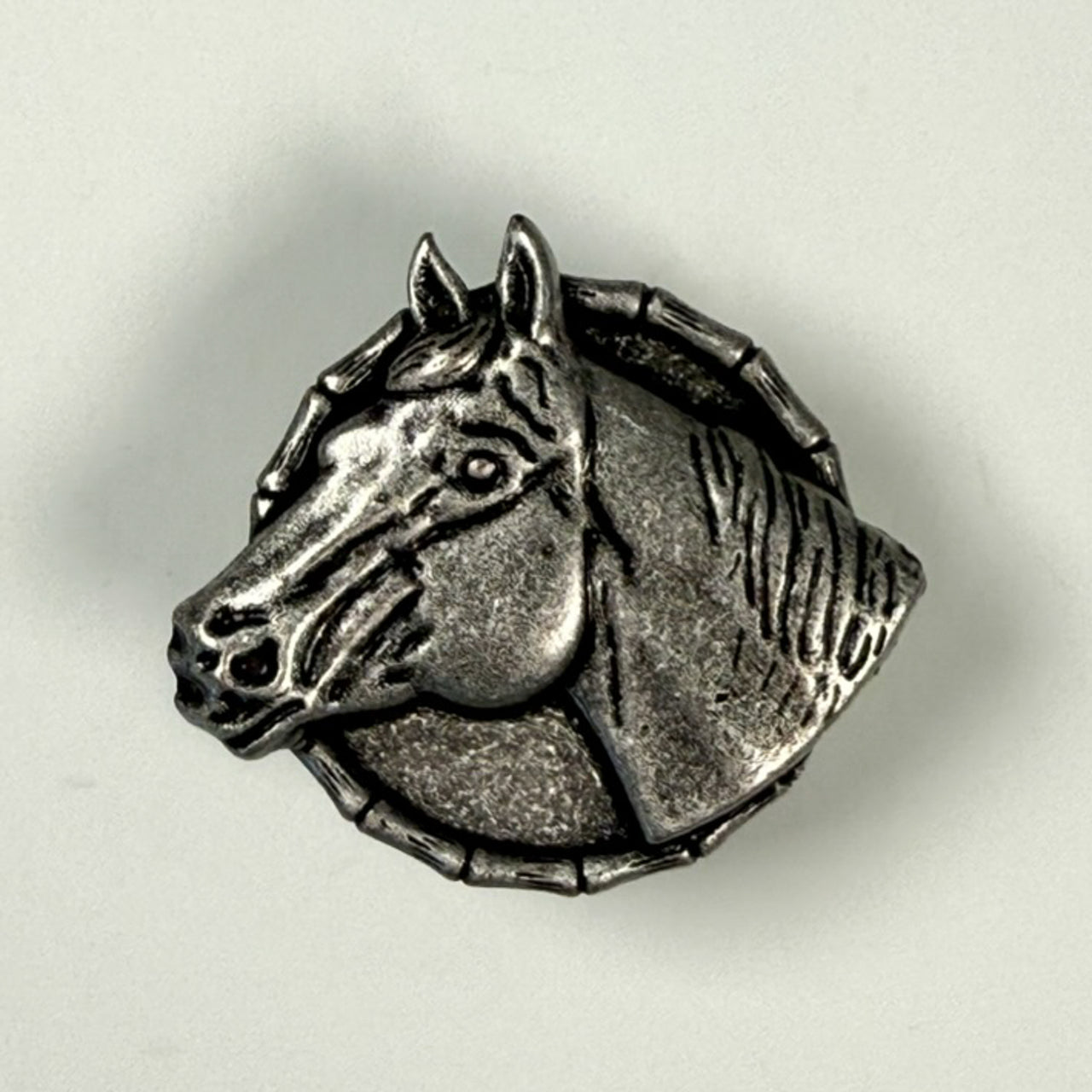 Slide - Horse Showy