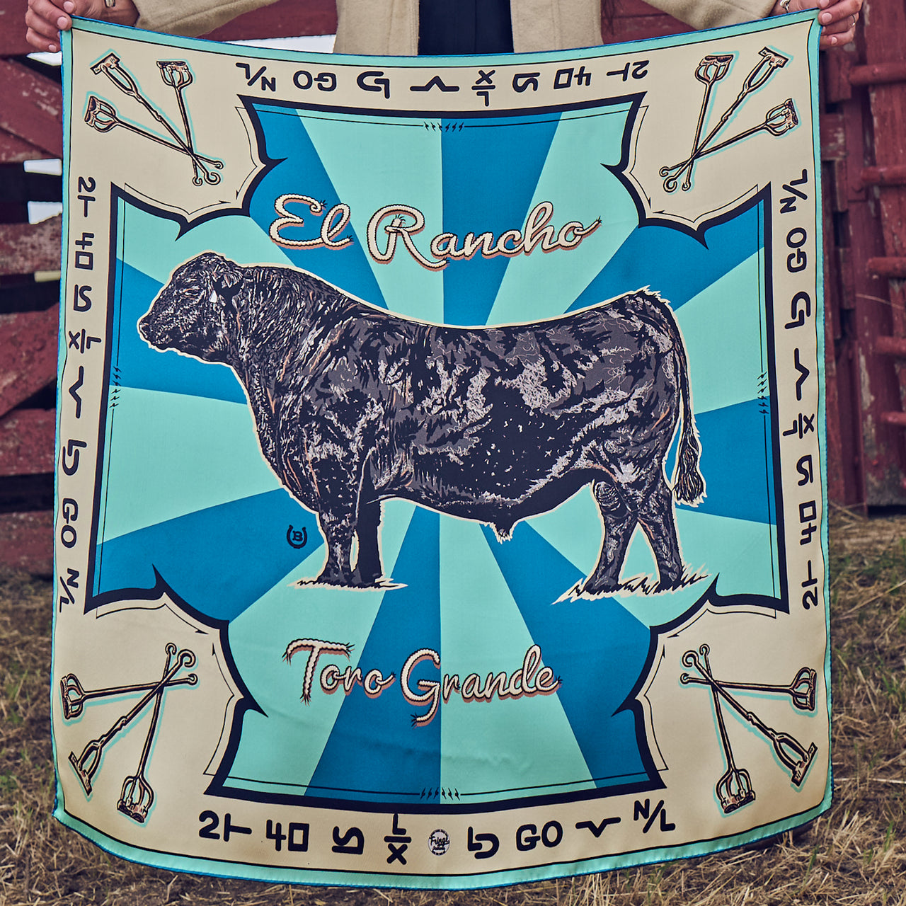 Toro Grande - Angus